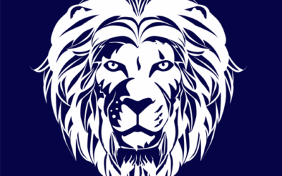 The Cub to King Framework, Explained Stage by Stage