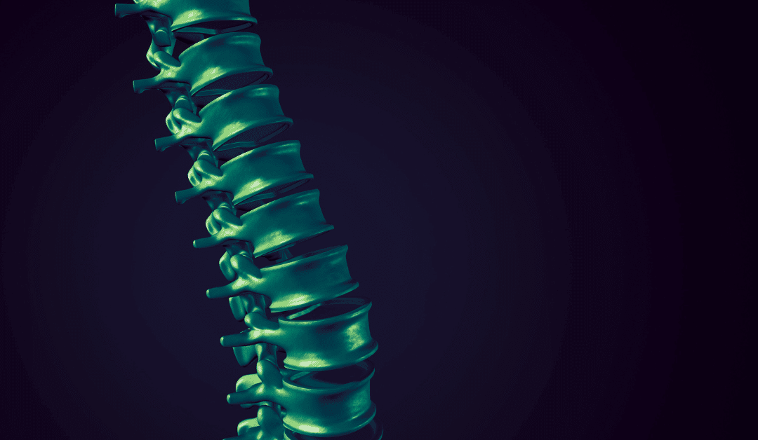 Why Your Google Business Profile Is the Backbone of Local SEO