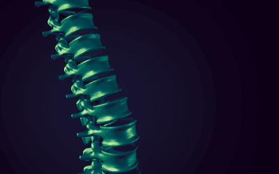 Why Your Google Business Profile Is the Backbone of Local SEO