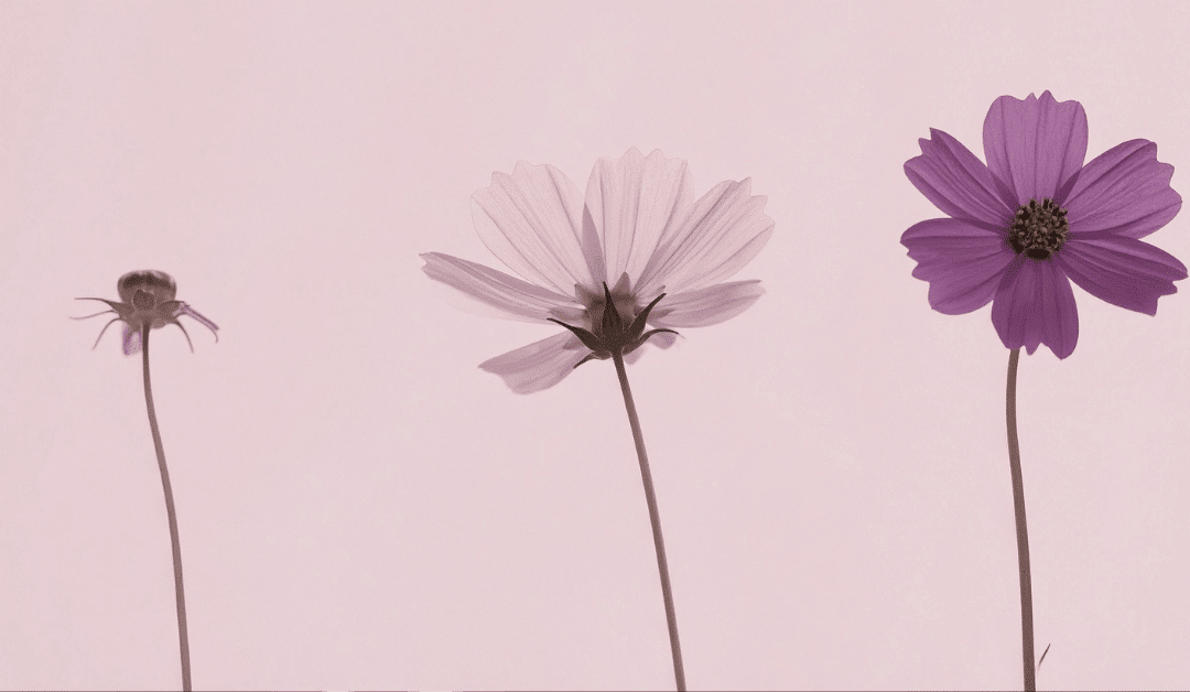 What Happens When You Outgrow a Strategy That Used to Work