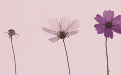 What Happens When You Outgrow a Strategy That Used to Work