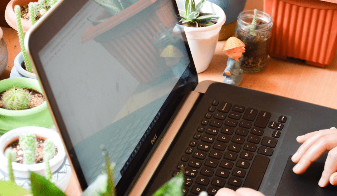 How Many Blogs Should You Write Per Month? (A Straight Answer for Busy Business Owners)