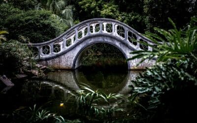 How to Turn Down a Client Without Burning the Bridge