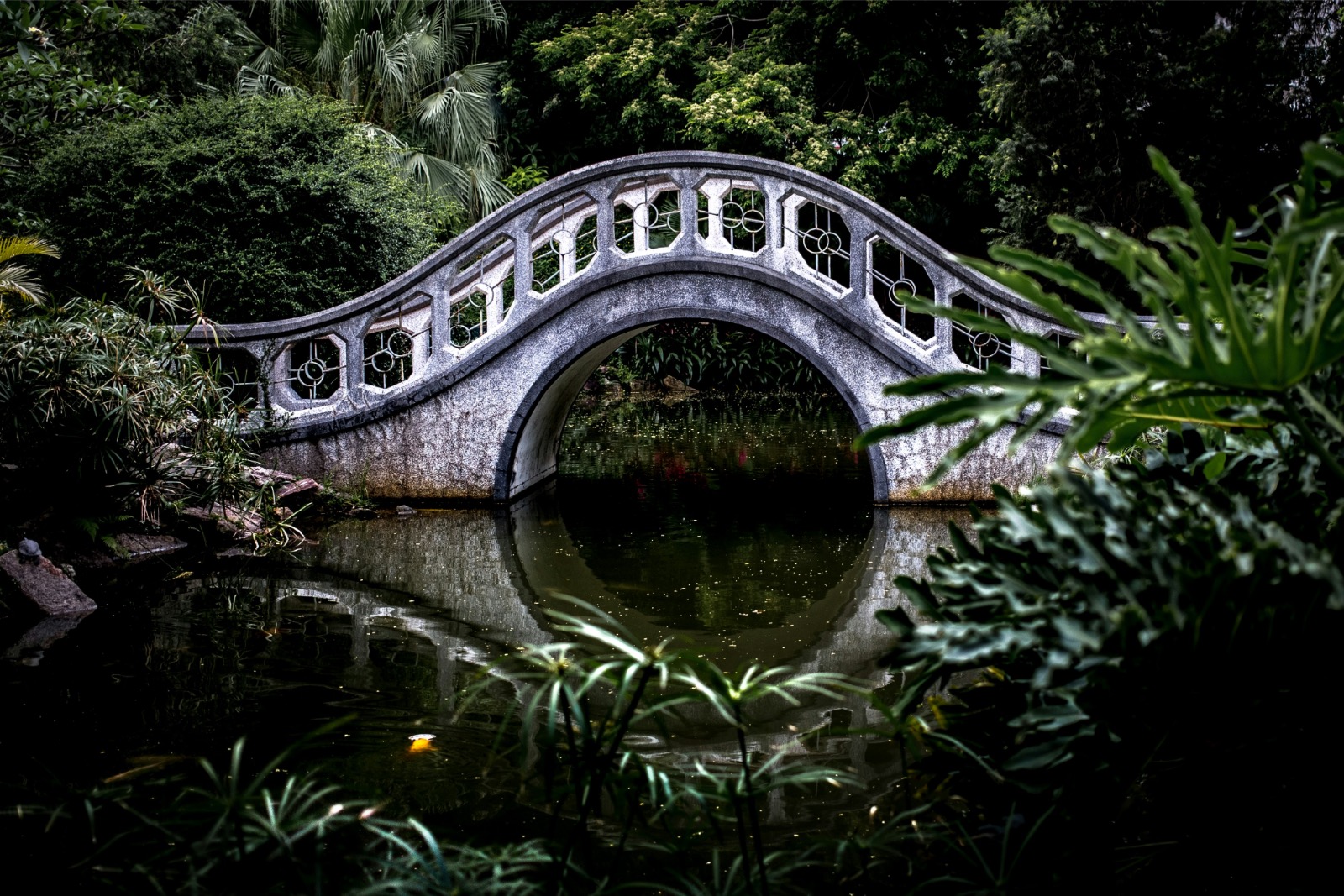 bridge